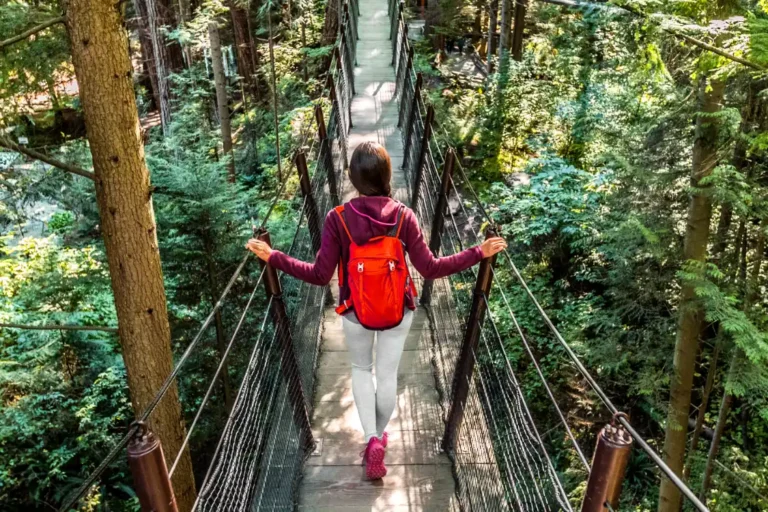 A person wearing a red backpack walks across a suspension bridge in a lush, green forest.