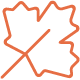 An orange outline drawing of a maple leaf on a light background.